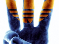 rGdx0cVoF_0