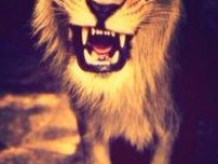 аватарки для стима