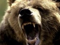 аватарки для стима