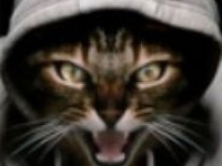 аватарки для стима