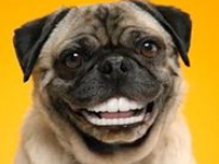 аватарки для стима