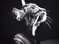 аватарки для стима