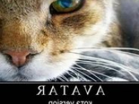 аватарки для стима