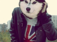 аватарки для вк