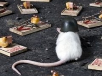 аватарки для вк