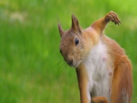 аватарки для вк