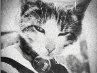 аватарки для вк