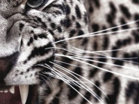 картинки на аватарку