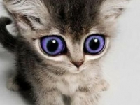 картинки на аватарку