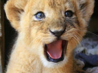 картинки на аватарку