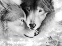 картинки на аватарку