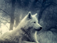 картинки на аватарку