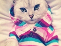 картинки на аватарку