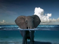 картинки на аватарку