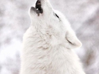 картинки на аватарку