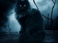 картинки на аватарку