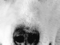 картинки на аватарку